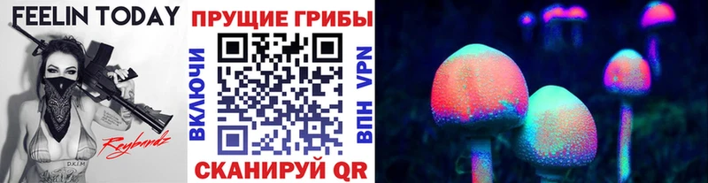 Галлюциногенные грибы GOLDEN TEACHER Черняховск